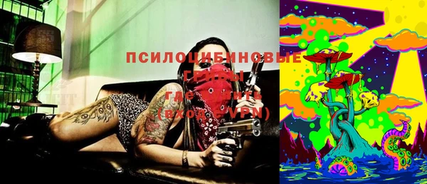 ГАЛЛЮЦИНОГЕННЫЕ ГРИБЫ Абаза