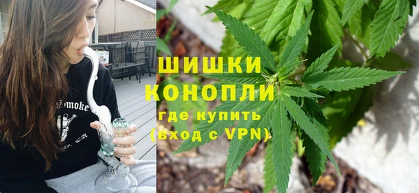 гидропоника Алзамай