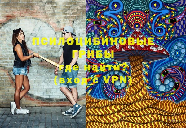 гидропоника Алзамай