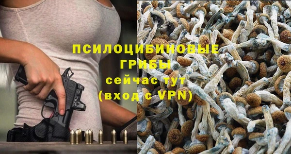 ГАЛЛЮЦИНОГЕННЫЕ ГРИБЫ Абаза