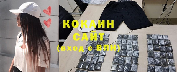 ГАЛЛЮЦИНОГЕННЫЕ ГРИБЫ Абаза
