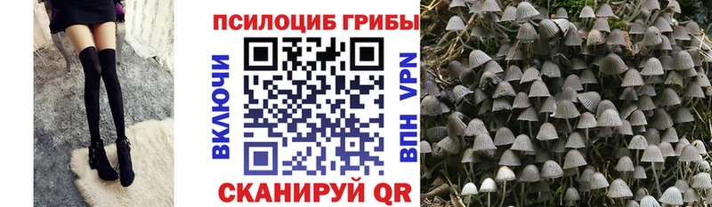 Галлюциногенные грибы Psilocybine cubensis  hydra ссылки  Ивангород 